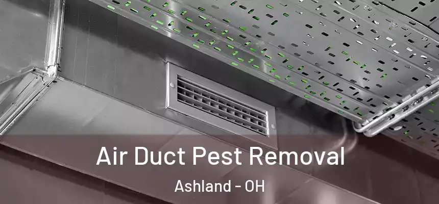 Air Duct Pest Removal Ashland - OH