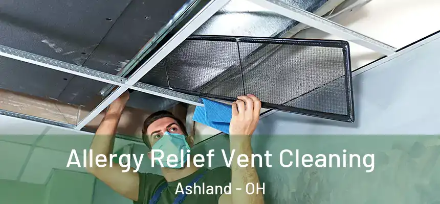 Allergy Relief Vent Cleaning Ashland - OH