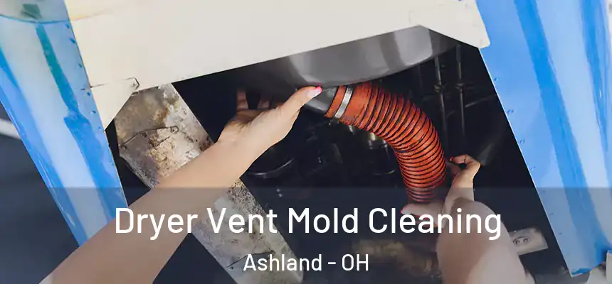 Dryer Vent Mold Cleaning Ashland - OH