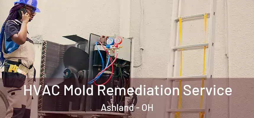  HVAC Mold Remediation Service Ashland - OH