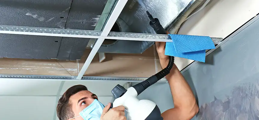 Our Air Duct Rodent Removal Services in Ashland, OH