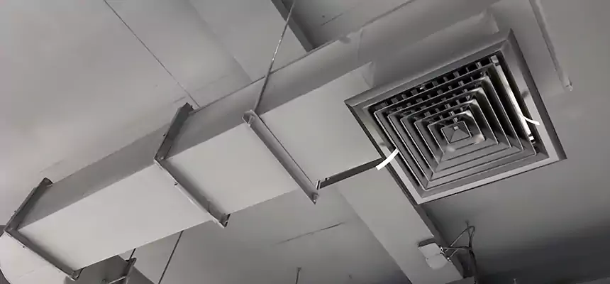 Our Pest Removal From Ducts Services in Ashland, OH