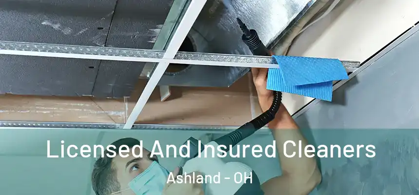  Licensed And Insured Cleaners Ashland - OH