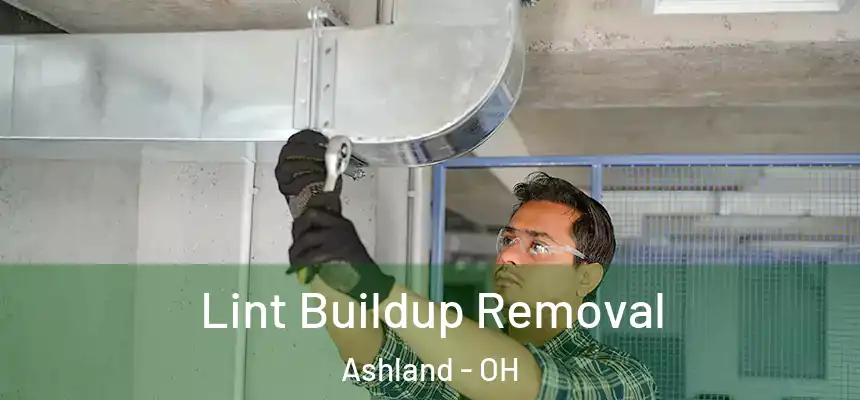  Lint Buildup Removal Ashland - OH