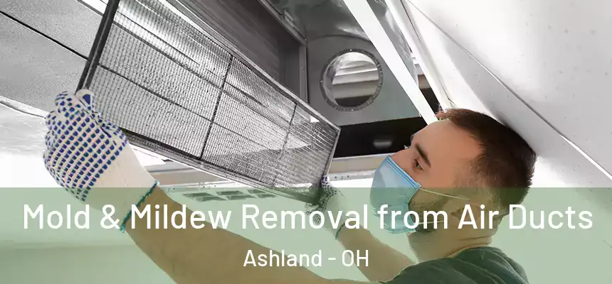  Mold & Mildew Removal from Air Ducts Ashland - OH