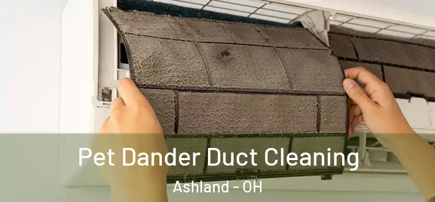 Pet Dander Duct Cleaning Ashland - OH