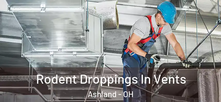 Rodent Droppings In Vents Ashland - OH