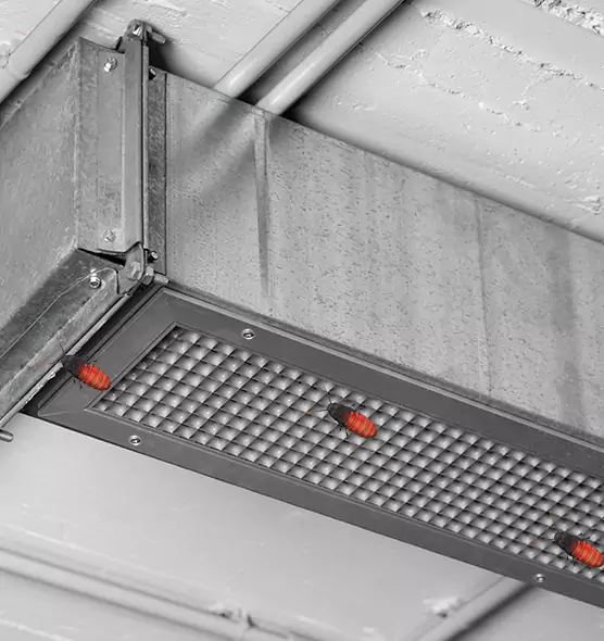 About Air Duct Cockroach Removal in Ashland, OH