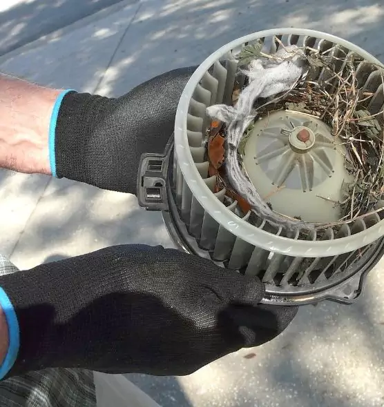 About Air Duct Rat Removal in Ashland, OH