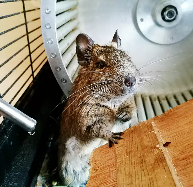 Why Homeowners & Businesses Trust Us Ashland, OH